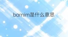 barnim是什么意思 barnim的中文翻译、读音、例句