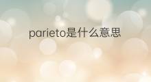 parieto是什么意思 parieto的中文翻译、读音、例句