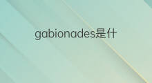 gabionades是什么意思 gabionades的中文翻译、读音、例句