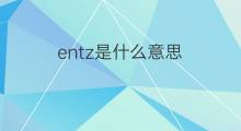entz是什么意思 entz的中文翻译、读音、例句
