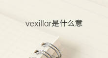 vexillar是什么意思 vexillar的中文翻译、读音、例句