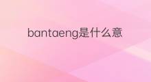bantaeng是什么意思 bantaeng的中文翻译、读音、例句