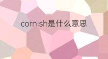 cornish是什么意思 cornish的中文翻译、读音、例句