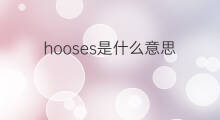 hooses是什么意思 hooses的中文翻译、读音、例句