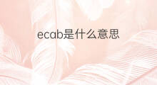 ecab是什么意思 ecab的中文翻译、读音、例句