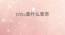 criss是什么意思 criss的中文翻译、读音、例句