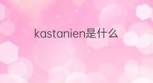 kastanien是什么意思 kastanien的中文翻译、读音、例句