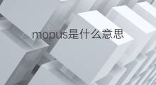 mopus是什么意思 mopus的中文翻译、读音、例句