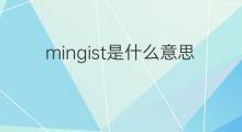 mingist是什么意思 mingist的中文翻译、读音、例句