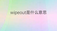 wipeout是什么意思 wipeout的中文翻译、读音、例句