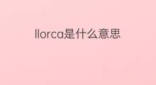 llorca是什么意思 llorca的中文翻译、读音、例句