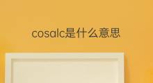 cosalc是什么意思 cosalc的中文翻译、读音、例句