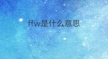 ffw是什么意思 ffw的中文翻译、读音、例句