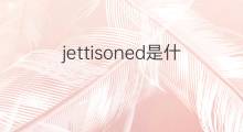 jettisoned是什么意思 jettisoned的中文翻译、读音、例句