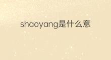 shaoyang是什么意思 shaoyang的中文翻译、读音、例句