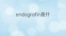 endografin是什么意思 endografin的中文翻译、读音、例句