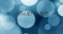 roche是什么意思 roche的中文翻译、读音、例句