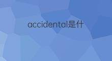 accidental是什么意思 accidental的中文翻译、读音、例句