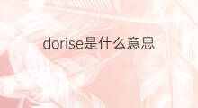dorise是什么意思 dorise的中文翻译、读音、例句