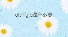 altingia是什么意思 altingia的中文翻译、读音、例句