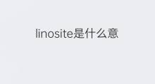 linosite是什么意思 linosite的中文翻译、读音、例句