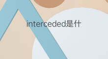 interceded是什么意思 interceded的中文翻译、读音、例句