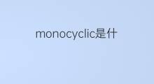 monocyclic是什么意思 monocyclic的中文翻译、读音、例句