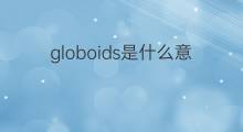globoids是什么意思 globoids的中文翻译、读音、例句