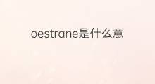 oestrane是什么意思 oestrane的中文翻译、读音、例句