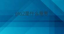 pla2是什么意思 pla2的中文翻译、读音、例句
