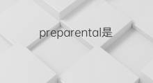 preparental是什么意思 preparental的中文翻译、读音、例句