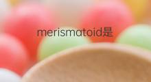 merismatoid是什么意思 merismatoid的中文翻译、读音、例句