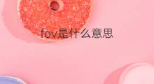 fov是什么意思 fov的中文翻译、读音、例句