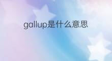 gallup是什么意思 gallup的中文翻译、读音、例句
