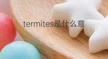 termites是什么意思 termites的中文翻译、读音、例句
