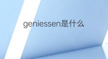 geniessen是什么意思 geniessen的中文翻译、读音、例句