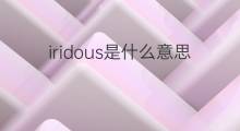 iridous是什么意思 iridous的中文翻译、读音、例句