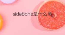sidebone是什么意思 sidebone的中文翻译、读音、例句