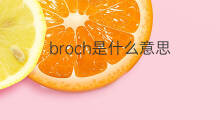 broch是什么意思 英文名broch的翻译、发音、来源
