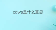 caws是什么意思 caws的中文翻译、读音、例句