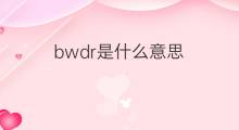 bwdr是什么意思 bwdr的中文翻译、读音、例句