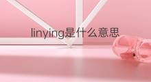 linying是什么意思 linying的中文翻译、读音、例句