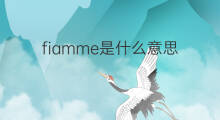 fiamme是什么意思 fiamme的中文翻译、读音、例句