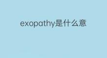 exopathy是什么意思 exopathy的中文翻译、读音、例句