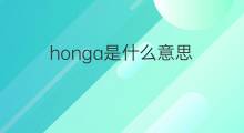 honga是什么意思 honga的中文翻译、读音、例句