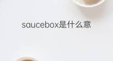 saucebox是什么意思 saucebox的中文翻译、读音、例句
