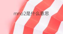 mno2是什么意思 mno2的中文翻译、读音、例句