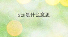 scii是什么意思 scii的中文翻译、读音、例句