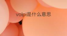 volpi是什么意思 volpi的中文翻译、读音、例句