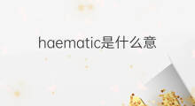 haematic是什么意思 haematic的中文翻译、读音、例句